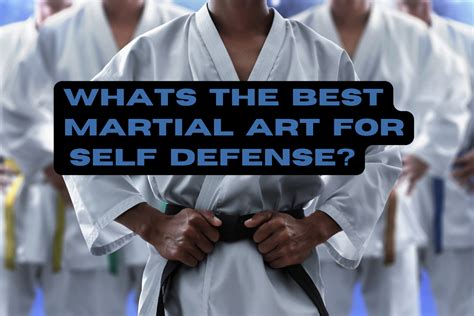 What's the Best Martial Art: A Multi-Perspective Analysis